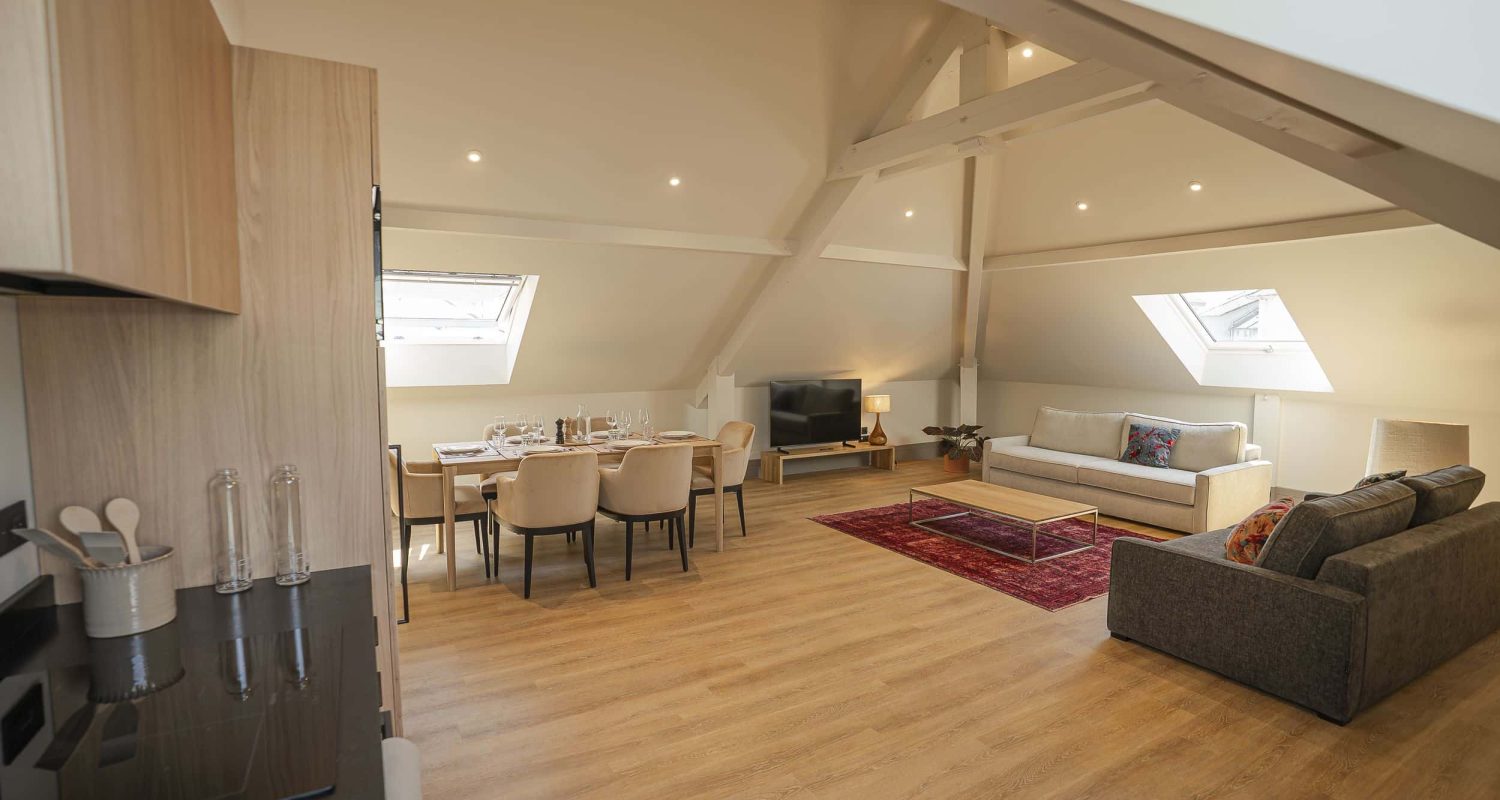 Appartement dans hotel location annecy (5)