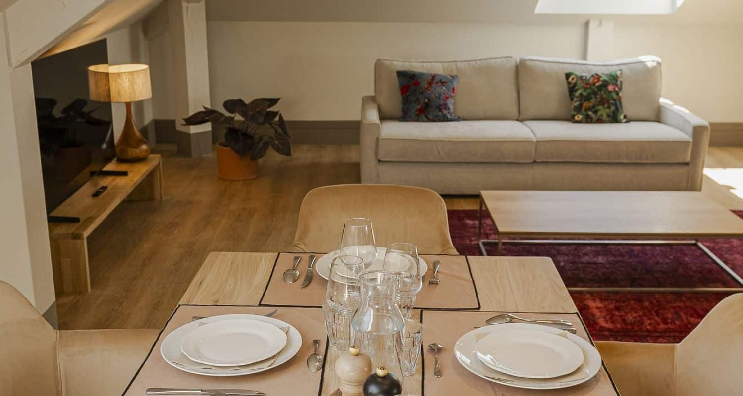 Appartement dans hotel location annecy (9)